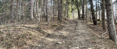 Koszarawa ↔ Lachów Groń