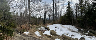 Lachów Groń ↔ Pod Suchą Górą