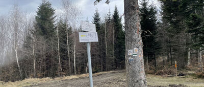 Przełęcz Klekociny