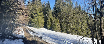 Odejście na Stare Izbiska ↔ Odejście na Stare Izbiska