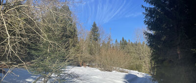 Odejście na Stare Izbiska