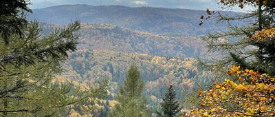 Skrzyżowanie przy Szlaku Białych Serc ↔ Przełęcz Wł. Midowicza