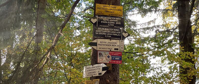 Skrzyżowanie przy Szlaku Białych Serc