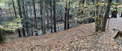 Rzyki, Mydlarze ↔ Skrzyżowanie przy Szlaku Białych Serc