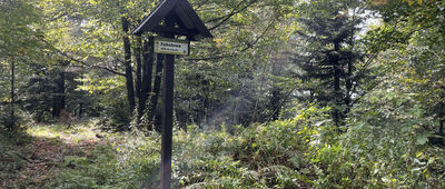 Krzeczów ↔ Zembalowa