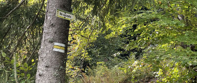 Krzeczów ↔ Zembalowa