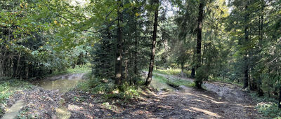 Zembalowa ↔ Lubień, cmentarz