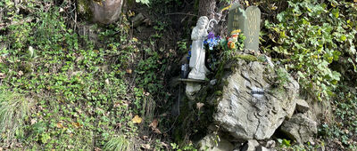 Tokarnia ↔ Zembalowa