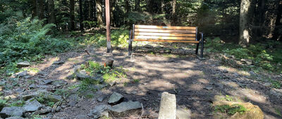 Lubogoszcz Zachodni ↔ Lubogoszcz, odejście szlaku zielonego