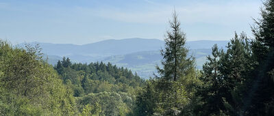 Mszana Dolna, ul. Spadochroniarzy ↔ Zapadliska