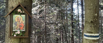 Harbutowice, Latoniówka ↔ Harbutowice, ul. Górska