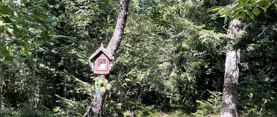 Babica Zachodnia ↔ Pod Bieńkowską Górą