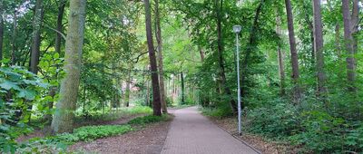 Szczecin Głębokie, staw wędkarski