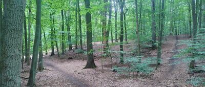 Skrzyżowanie szlaków ↔ Jasmundzka Struga