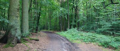 Skrzyżowanie szlaków