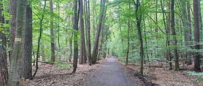 Skrzyżowanie szlaków ↔ Skrzyżowanie szlaków