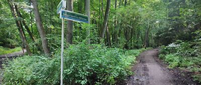 Droga Siedmiu Młynów