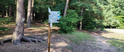 Polana Harcerska [Polana Harcerska]