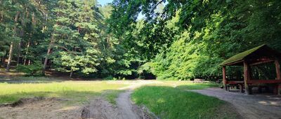 Polana Harcerska [Polana Harcerska]