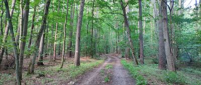 Rozejście szlaków ↔ Rozejście szlaków