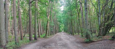 Rozejście szlaków ↔ Rozejście szlaków