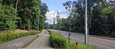 Las Arkoński ↔ Zielonka