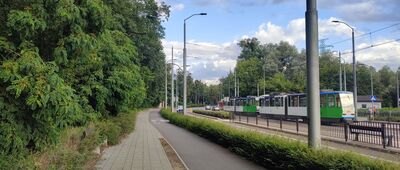 Las Arkoński ↔ Zielonka