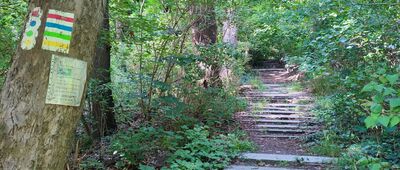 Las Arkoński [Las Arkoński - początek szlaku]