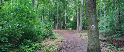 Las Arkoński, ośrodek socjoterapii