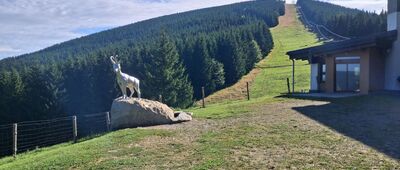 Nad Dobrou vodou ↔ Černava, lanovka