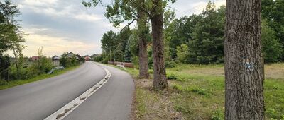 Zaklików ↔ Lipa [Chyba kiedyś były tu też inne szlaki]