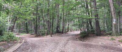 Tąpadła, skrzyżowanie