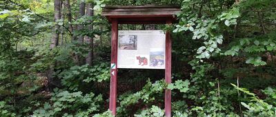 Początek ścieżki przyrodniczej "Skalna"