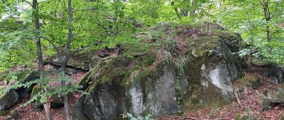 Początek ścieżki przyrodniczej "Skalna" ↔ Odejście ścieżki przyrodniczej