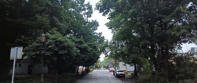 Pszczyna, Park Dworcowy