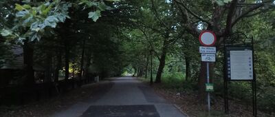 Pszczyna, Park Dworcowy