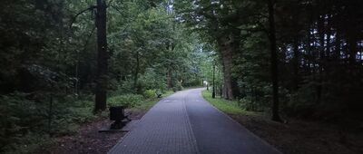 Pszczyna, Plac Dworcowy ↔ Pszczyna, Park Dworcowy