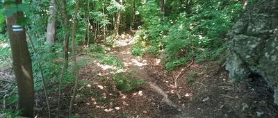 Zakrzówek, ul. Tyniecka