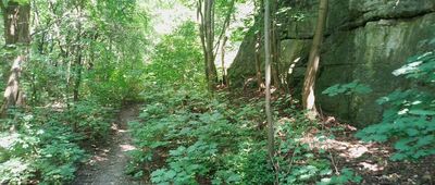 Zakrzówek, ul. Tyniecka