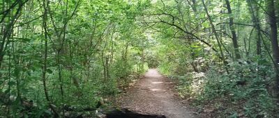 Zakrzówek, Pomnik Elvisa Presleya ↔ Zakrzówek, ul. Salezjańska