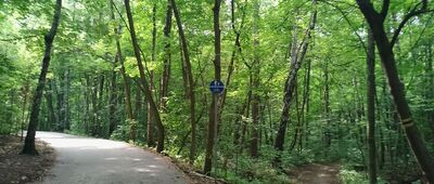 Zakrzówek, ul. Salezjańska