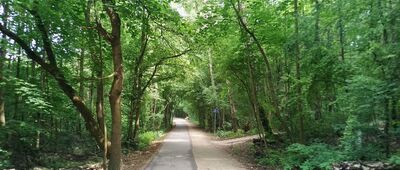 Zakrzówek, ul. Salezjańska