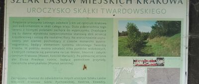 Zakrzówek, ul. Salezjańska