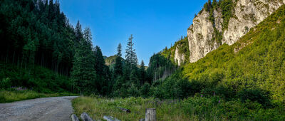 Dolina Dudowa ↔ Starorobociańska Dolina [Dolina Chochołowska i Turnia Olejarnia]