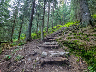Czerwony szlak na Trzydniowiański Wierch