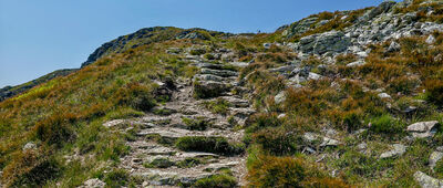 Jarząbczy Wierch ↔ Kończysty Wierch [Podejście na Jarząbczy Wierch]