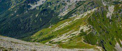 Nad Niską Przełęczą ↔ Jarząbczy Wierch [Zejście z Jarząbczego Wierchu z widokiem na Rohacze]