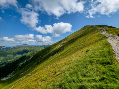 Wołowiec z rozejścia szlaków Pod Wołowcem