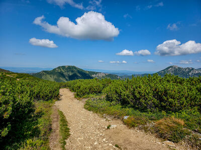 Niebieski szlak między Rakoniem a Grzesiem