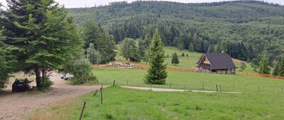 Czerniawa Sucha ↔ Przełęcz Klekociny